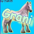 Grani